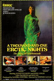 A Thousand and One Erotic Nights